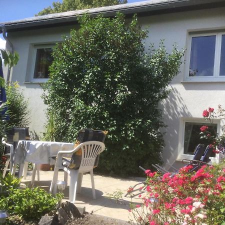 Ferienhaus Moock Horn-Bad Meinberg Exterior photo