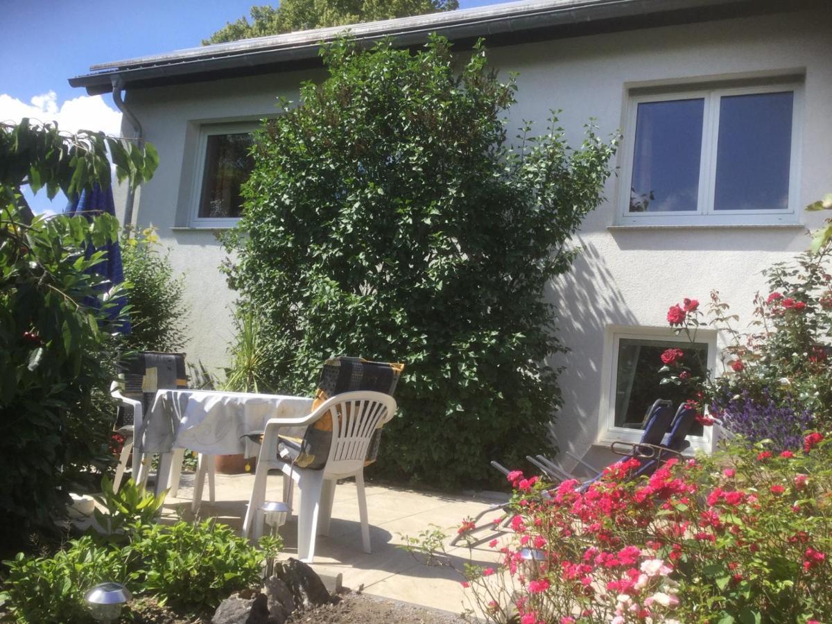 Ferienhaus Moock Horn-Bad Meinberg Exterior photo