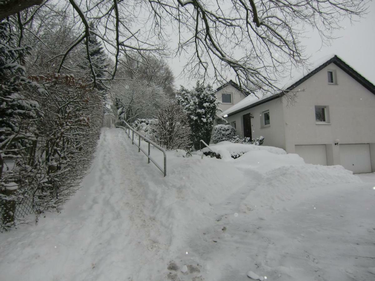 Ferienhaus Moock Horn-Bad Meinberg Exterior photo